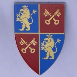 LEGO Minifigure Accessory Triangular Shield - Image 1