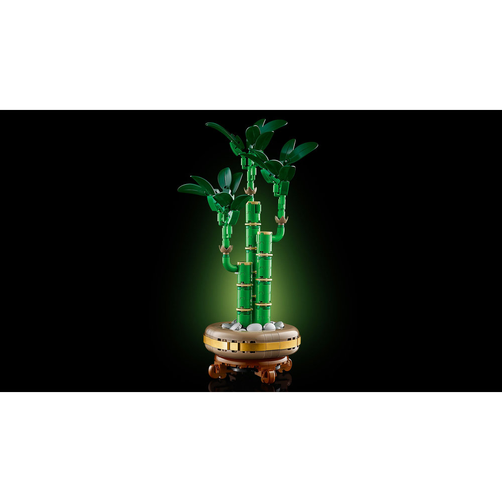 LEGO Botanicals Lucky Bamboo Plant Decor 10344 - Image 3