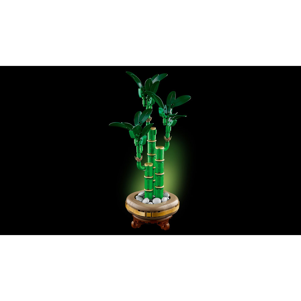 LEGO Botanicals Lucky Bamboo Plant Decor 10344 - Image 4