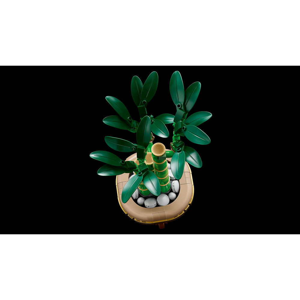 LEGO Botanicals Lucky Bamboo Plant Decor 10344 - Image 6