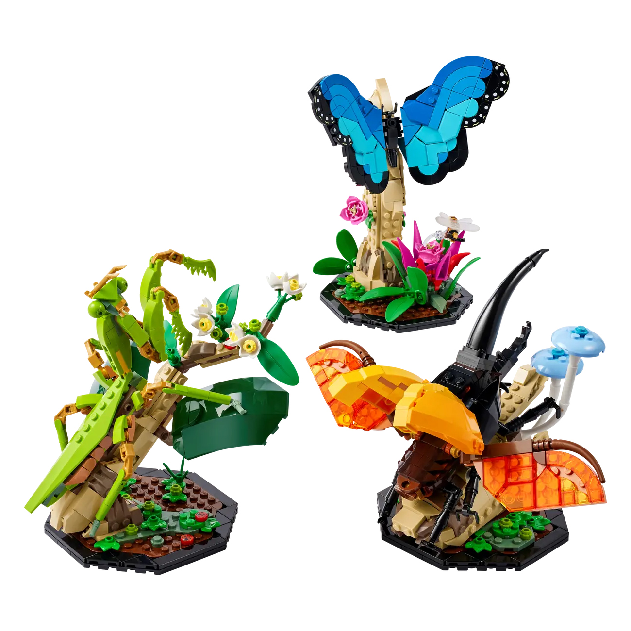 LEGO Ideas Insect Collection (DAMAGED BOX) Set 21342 - Image 2