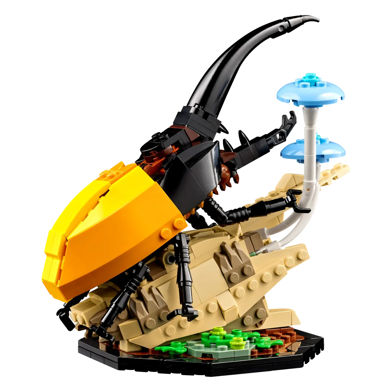 LEGO Ideas Insect Collection (DAMAGED BOX) Set 21342 - Image 5