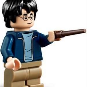 LEGO Harry Potter Minifigure from 75945 75947 - Image 1